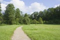 Trail in the summer the park