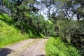 Dirt trail going through green hills Royalty Free Stock Photo