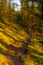 Trail at sunset of Mount Adarra in the town of Urnieta, Gipuzkoa, Basque Country