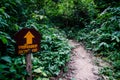 Adventurous trekking trail ravine forest landscape sunny summer day Ramkhamhaeng National Park, Sukothai, Thailand,