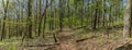 Trail through tall trees in a lush forest, Shenandoah National Park, Virginia. Royalty Free Stock Photo