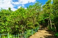 Trail at Three Eyes National Park in Santo Domingo, Dominican Republic