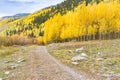 Trail throughh thhe Fall Aspens in the Sun Juan Mountains of Colorado Royalty Free Stock Photo