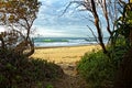 Trail to empty beach Australian nature in morning light Royalty Free Stock Photo