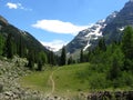 Trail to Crater Lake Royalty Free Stock Photo