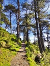 Trail to El Pienzu peak from El Fitu, Sierra del Sueve, Colunga, Caravia and Parres municipalities, Asturias, Spain