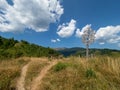 The trail to Inelet and Scarisoara hamlets, Romania