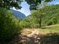 The trail to Inelet and Scarisoara hamlets, Romania