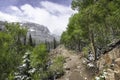 The Trail to The Loch Vale in Rocky Mountain National Park Royalty Free Stock Photo