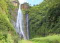 Trail to Manawaiopuna Falls Royalty Free Stock Photo