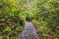 Trail to Nairn Falls Provincial Park, Pemberton, British Columbia, Sea to Sky Highway, Canada Royalty Free Stock Photo