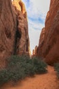 Trail to Sand dune arch in Arches National Park, Utah Royalty Free Stock Photo