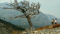 Hikers next to big grey tree in Glacier National Park.