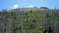 Trail to the top of the Lusen mountain