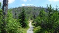 Trail to the top of the Lusen mountain