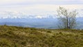 The trail to Turbacz, Gorce Royalty Free Stock Photo