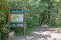 Trail to the 1000 year old yellowwood tree Royalty Free Stock Photo