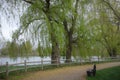 Trail in Toogood Pond Park Royalty Free Stock Photo