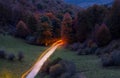 Trail between trees with fall colors in the Beech Forests of Irati, Navarra Royalty Free Stock Photo