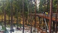 Trail Trees Lipno Lookout, Czechia