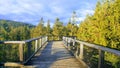 The Trail Trees Lipno Lookout, Czechia