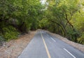 Trail through Trees in Provo Canyon