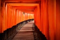 Trail under the Japanese Torii Gates creating a red tunnel in Fushimi Inari-Taisha Temple in Kyoto Royalty Free Stock Photo