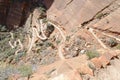 Trail up to Angels Landing, Zion National Park Royalty Free Stock Photo