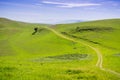 Trail on the verdant hills of south bay, San Francisco bay area, San Jose, California Royalty Free Stock Photo