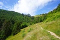 Trail and walk in the region of Le Moleson in Fribourg, Switzerland