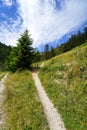 Trail and walk in the region of Le Moleson in Fribourg, Switzerland