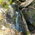 Trail water fall