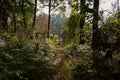 Trail in weeds of woody hill,former 630 factory built in 1970s