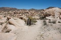 Trail through the White Tank Campground leads to Arch Rock in Joshua Tree National Park Royalty Free Stock Photo