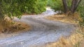 Trail winding through the forest of Provo Utah Royalty Free Stock Photo