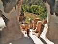 Trail to Ruins in Bandelier National Monument