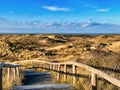 Trail with wooden hand rails in dutch dunes