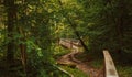 Trail in the woods with wooden gridge over the river Royalty Free Stock Photo