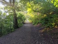 Trail Wrekin morning Royalty Free Stock Photo