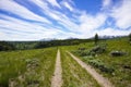 Trail in Yellowstone National Park, Wyoming