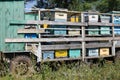 Trailer with beehives