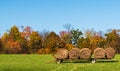 A trailer in a field loaded with hay bales in Tionesta, Pennsylvania, USA Royalty Free Stock Photo