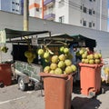 Trailer selling coconuts in Brazil