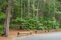 Trailhead parking lot in the forest
