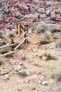 Calico Basin, Red Rock Conservation Area, Southern Nevada, USA Royalty Free Stock Photo