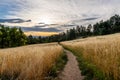 The trails around Horsetooth Reservoir Royalty Free Stock Photo