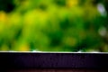 Trails of falling raindrops on the edge of a fence with a long exposure, abstract background