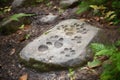 Trails of footprints entombed in stone.. AI generation Royalty Free Stock Photo