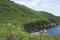 Hiking trail on the island of Herm Royalty Free Stock Photo