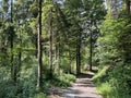 Trails for walking, hiking, sports and recreation in the Lorze river valley or on the slopes of Lorzentobel, Baar - Canton of Zug Royalty Free Stock Photo